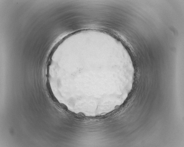 X0000115521323200912181458