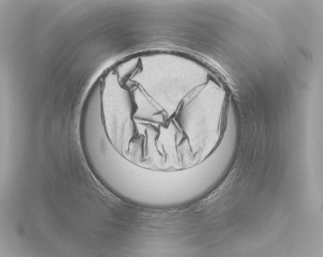 X0000115521326200912181458