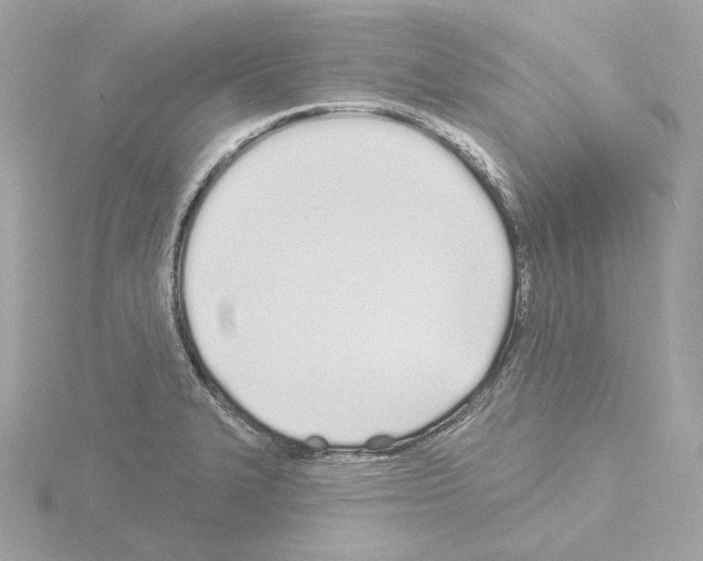 X0000115521327200912181458