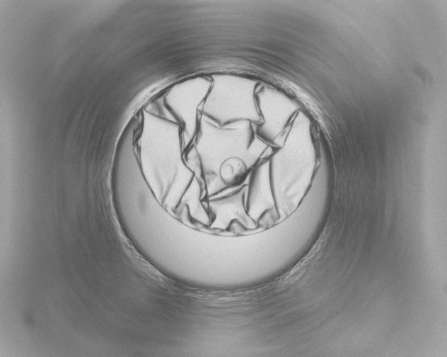 X0000115521330200912181458