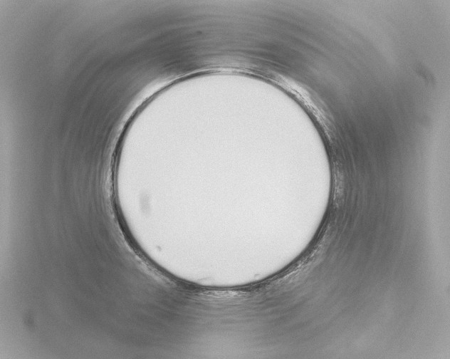 X0000115521331200912181458