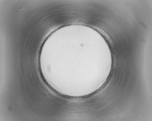 X0000115521333200912181458