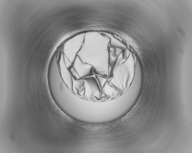 X0000115521334200912181458