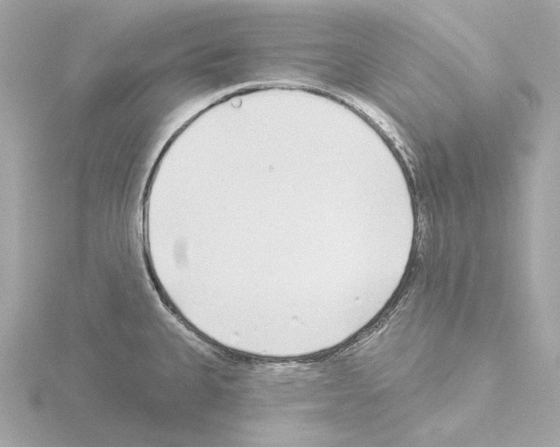 X0000115521335200912181458