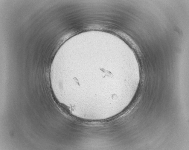 X0000115521337200912181458