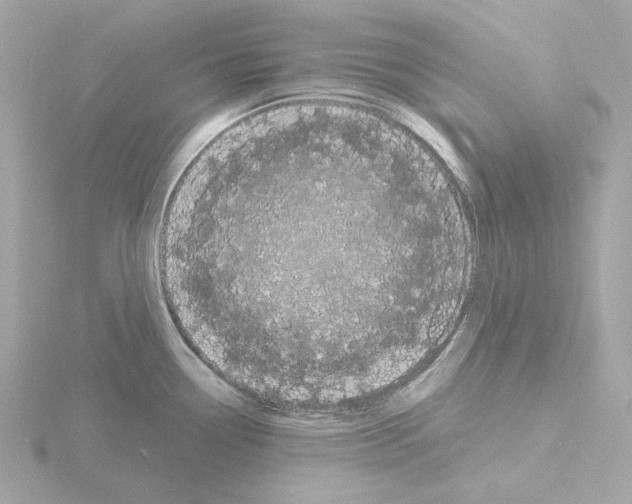 X0000115521338200912181458