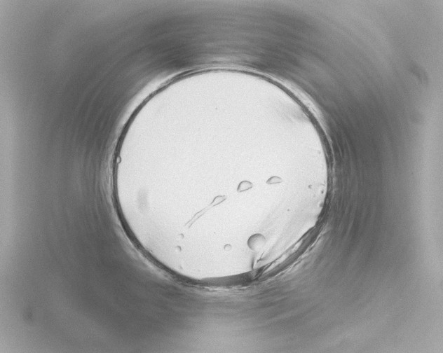 X0000115521341200912181458