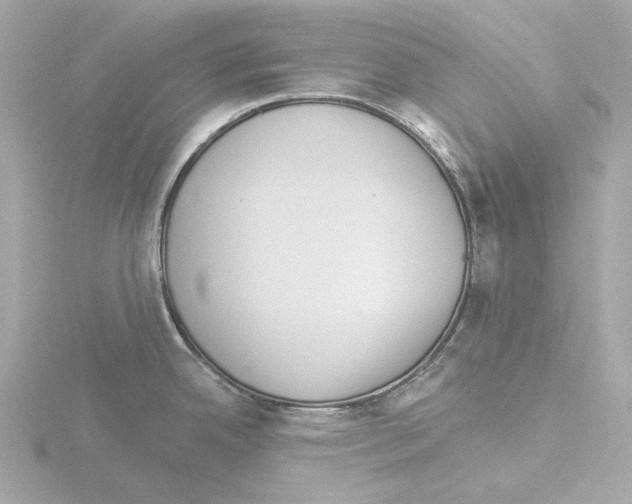 X0000115521342200912181458