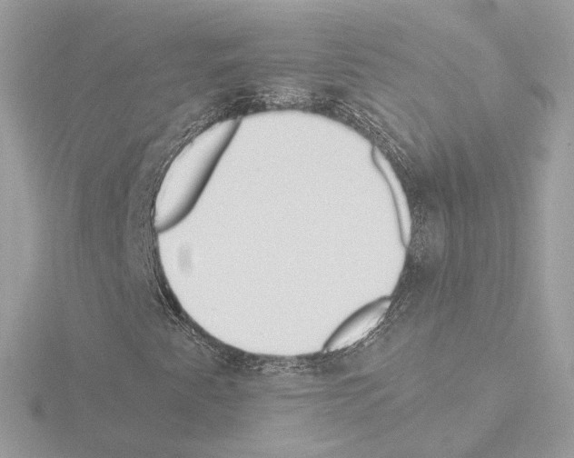 X0000115521345200912181458