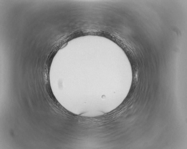 X0000115521348200912181458