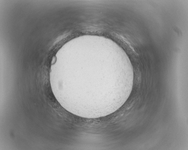 X0000115521350200912181458