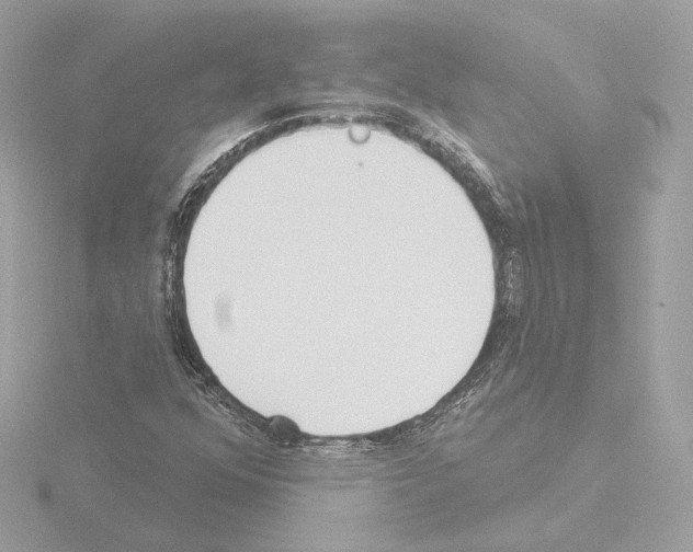 X0000115521352200912181458