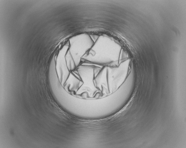 X0000115521353200912181458