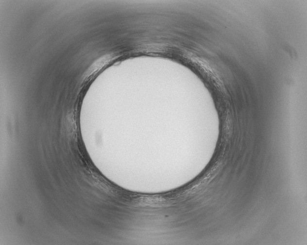 X0000115521354200912181458