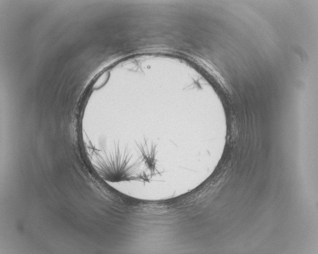 X0000115521356200912181458