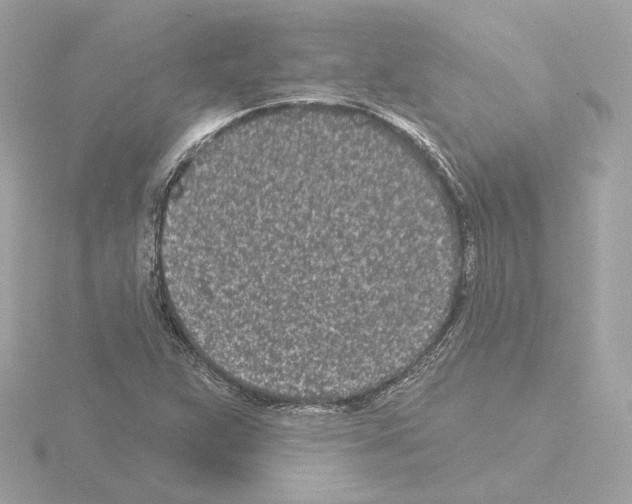 X0000115521359200912181458