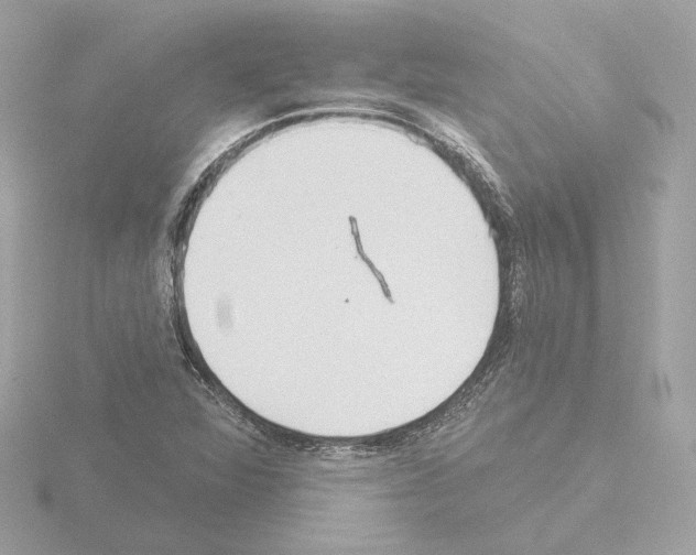 X0000115521360200912181458