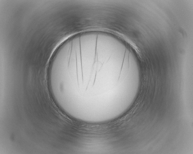 X0000115521364200912181458