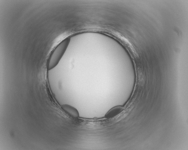 X0000115521365200912181458