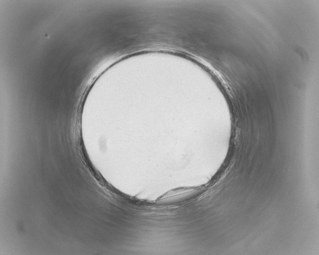 X0000115521367200912181457