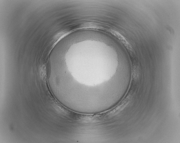 X0000115521369200912181457