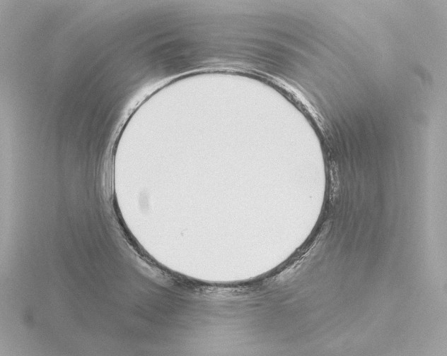 X0000115521371200912181457