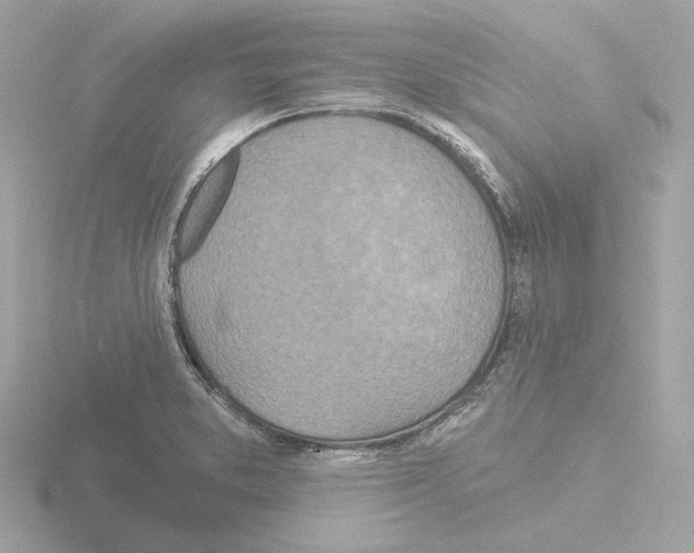 X0000115521373200912181457