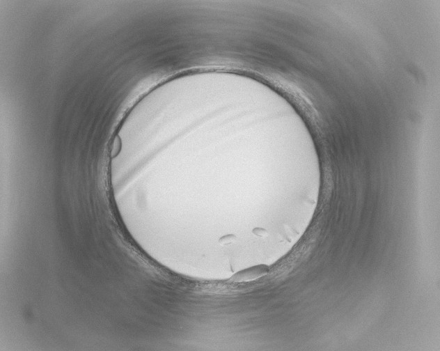 X0000115521374200912181457