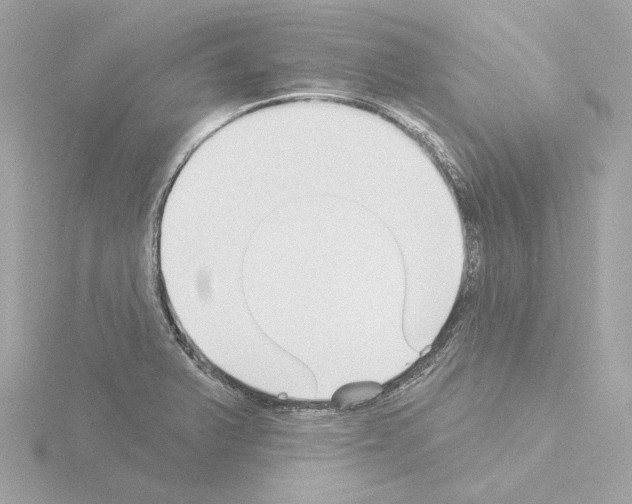 X0000115521375200912181457