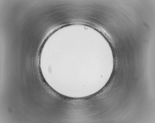 X0000115521376200912181457