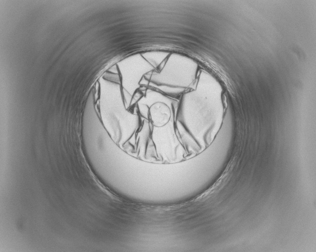 X0000115521377200912181457