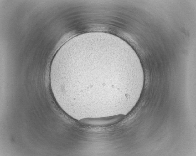 X0000115521378200912181457