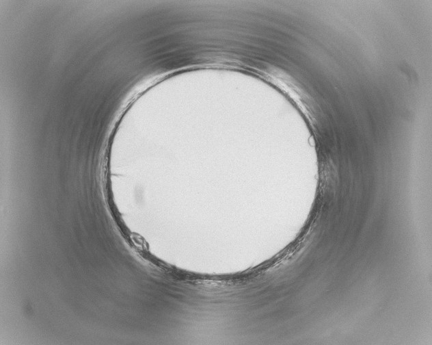 X0000115521379200912181457