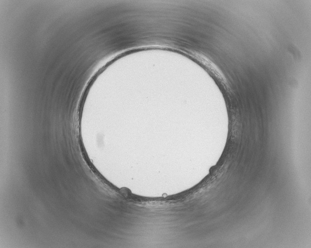 X0000115521380200912181457