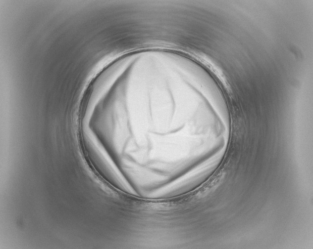 X0000115521381200912181457