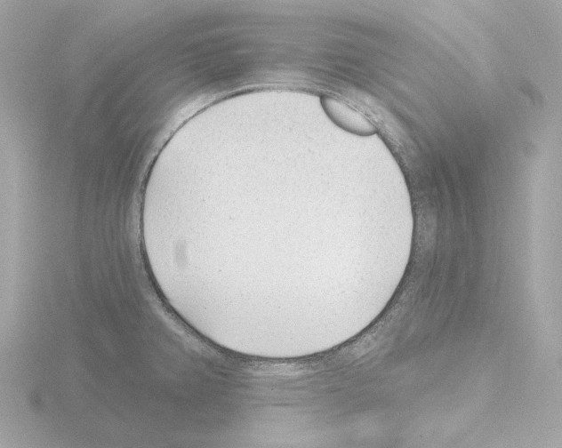 X0000115521382200912181457