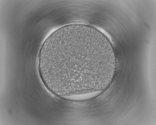 X0000115521383200912181457