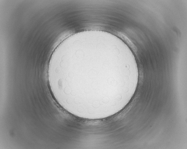 X0000115521386200912181457