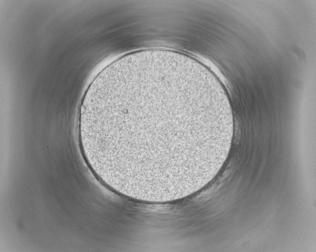 X0000115521387200912181457