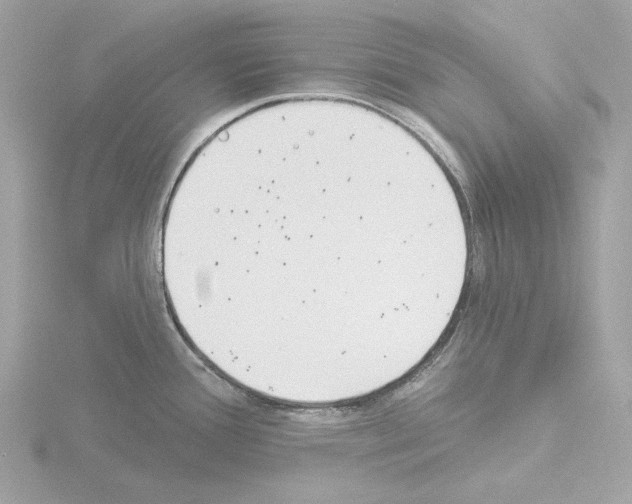 X0000115521388200912181457