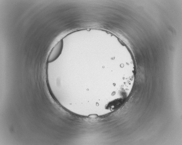 X0000115521389200912181457