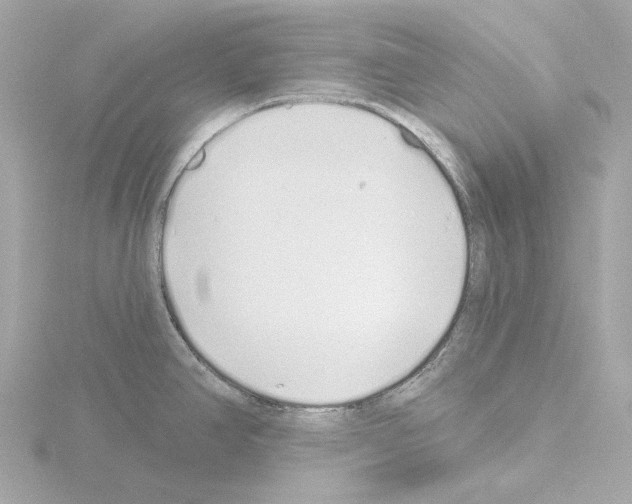 X0000115521390200912181457