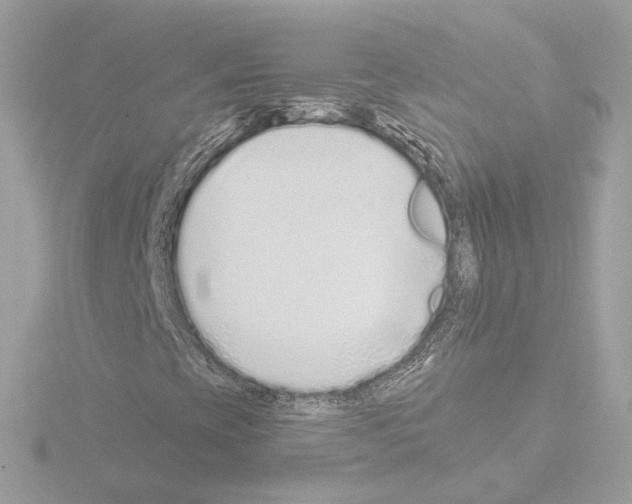 X0000115521393200912181456