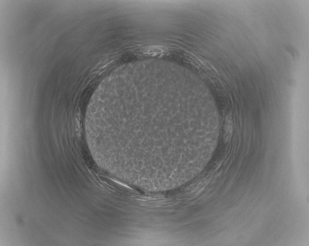 X0000115521394200912181456