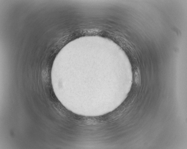 X0000115521395200912181456