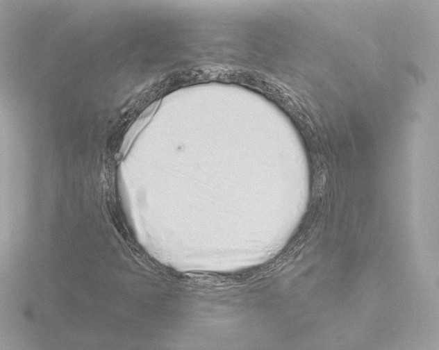 X0000115521397200912181456