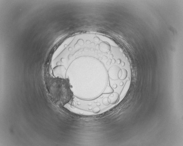 X0000115521404200912181457