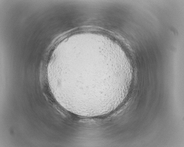 X0000115521405200912181457