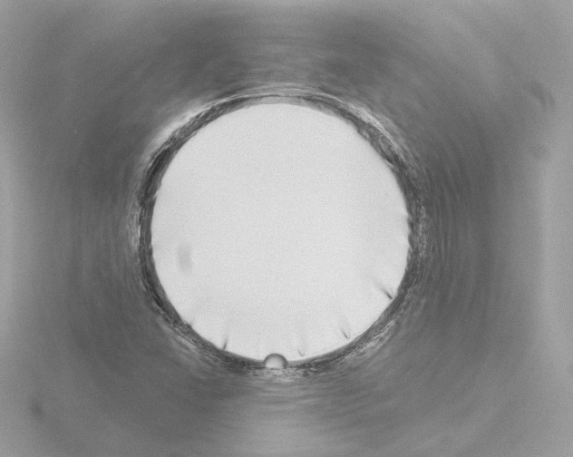 X0000115521406200912181457