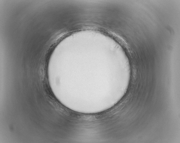 X0000115521407200912181457